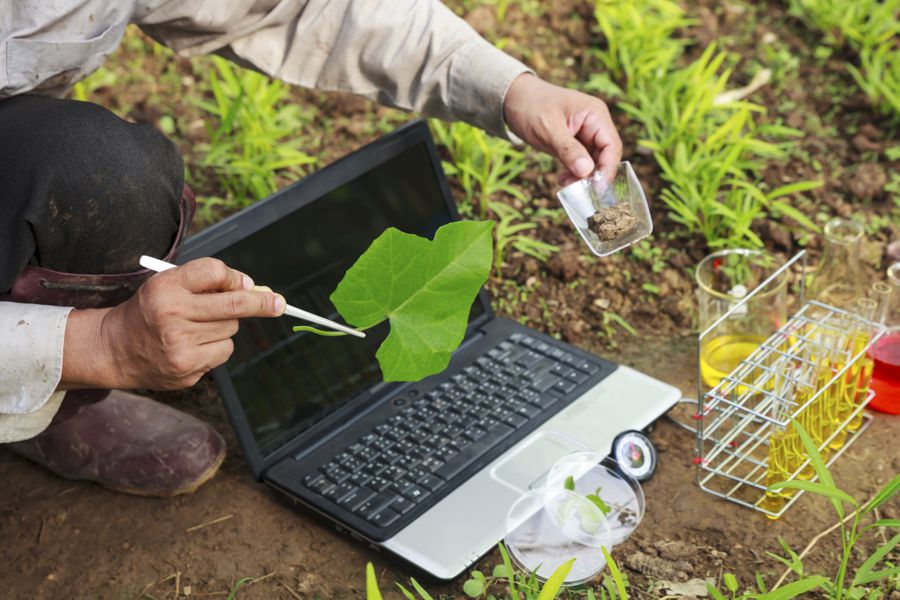 Ingeniería Agronómica